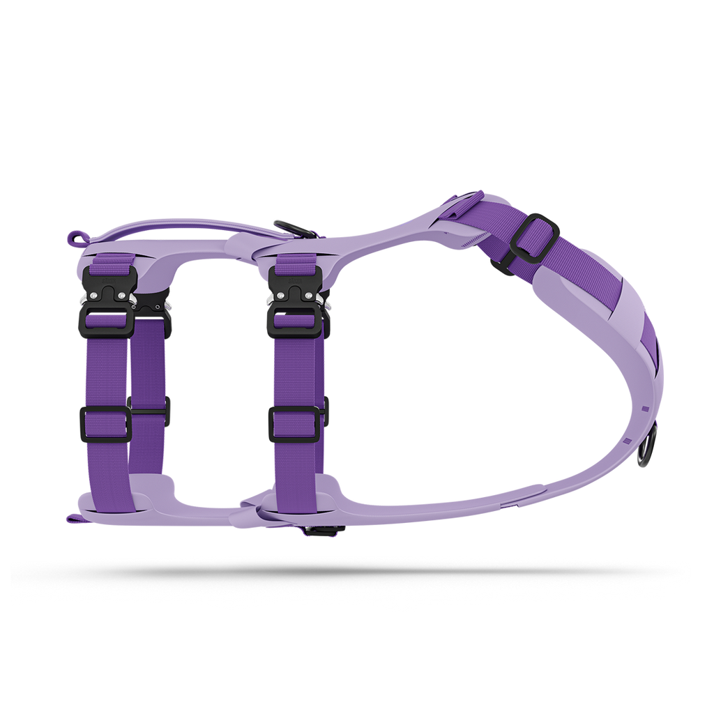 Pet Harness product image 1