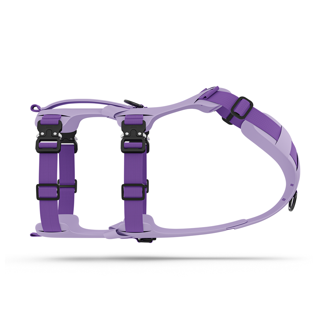Pet Harness product image 1
