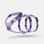 Pet Harness product image 3
