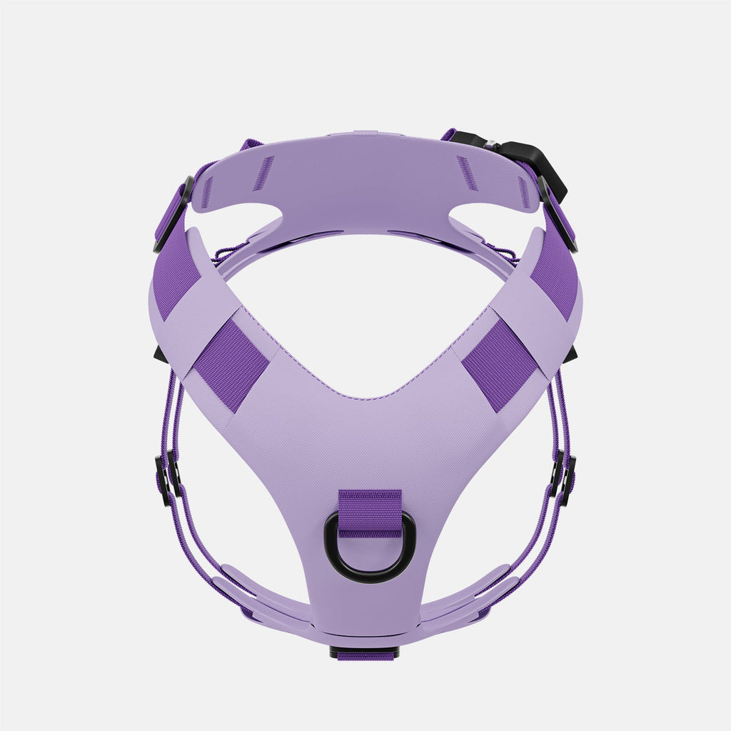 Pet Harness product image 4