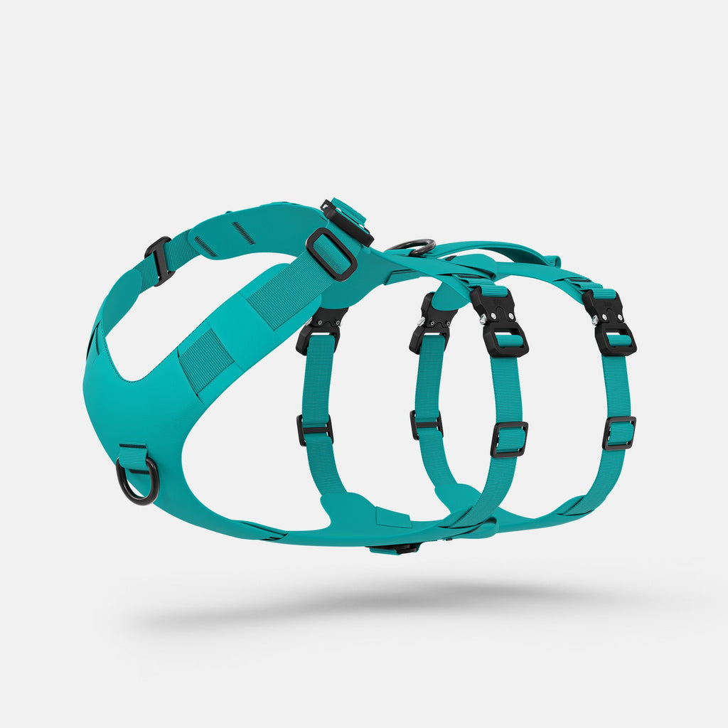 Pet Harness product image 3