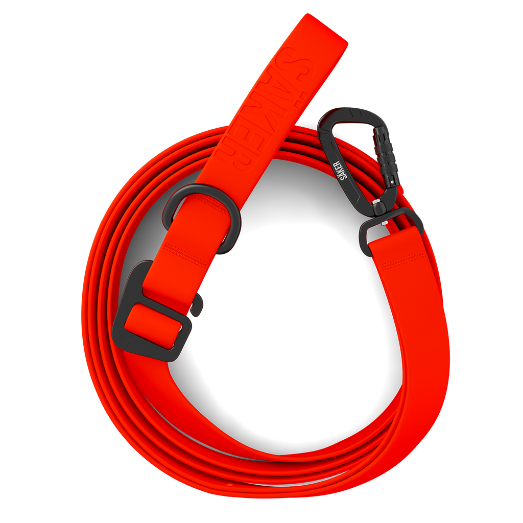 Waterproof Pet Leash product image 1