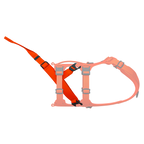 Dog Harness Attachment product image 1