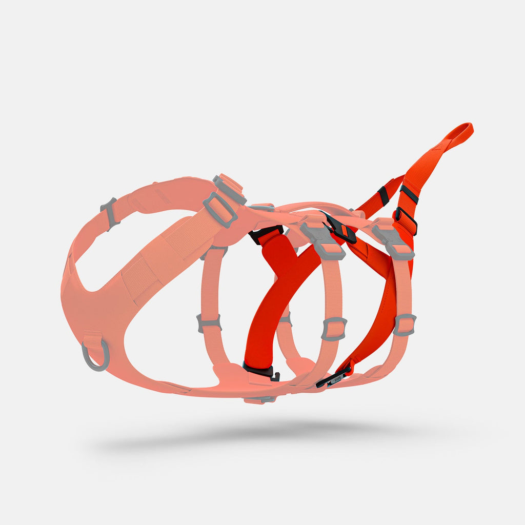 Dog Harness Attachment product image 3