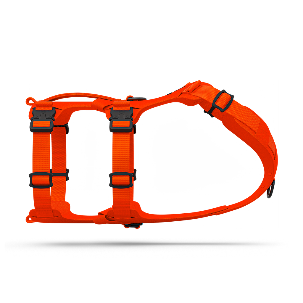 Pet Harness product image 1