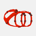 Pet Harness product image 3
