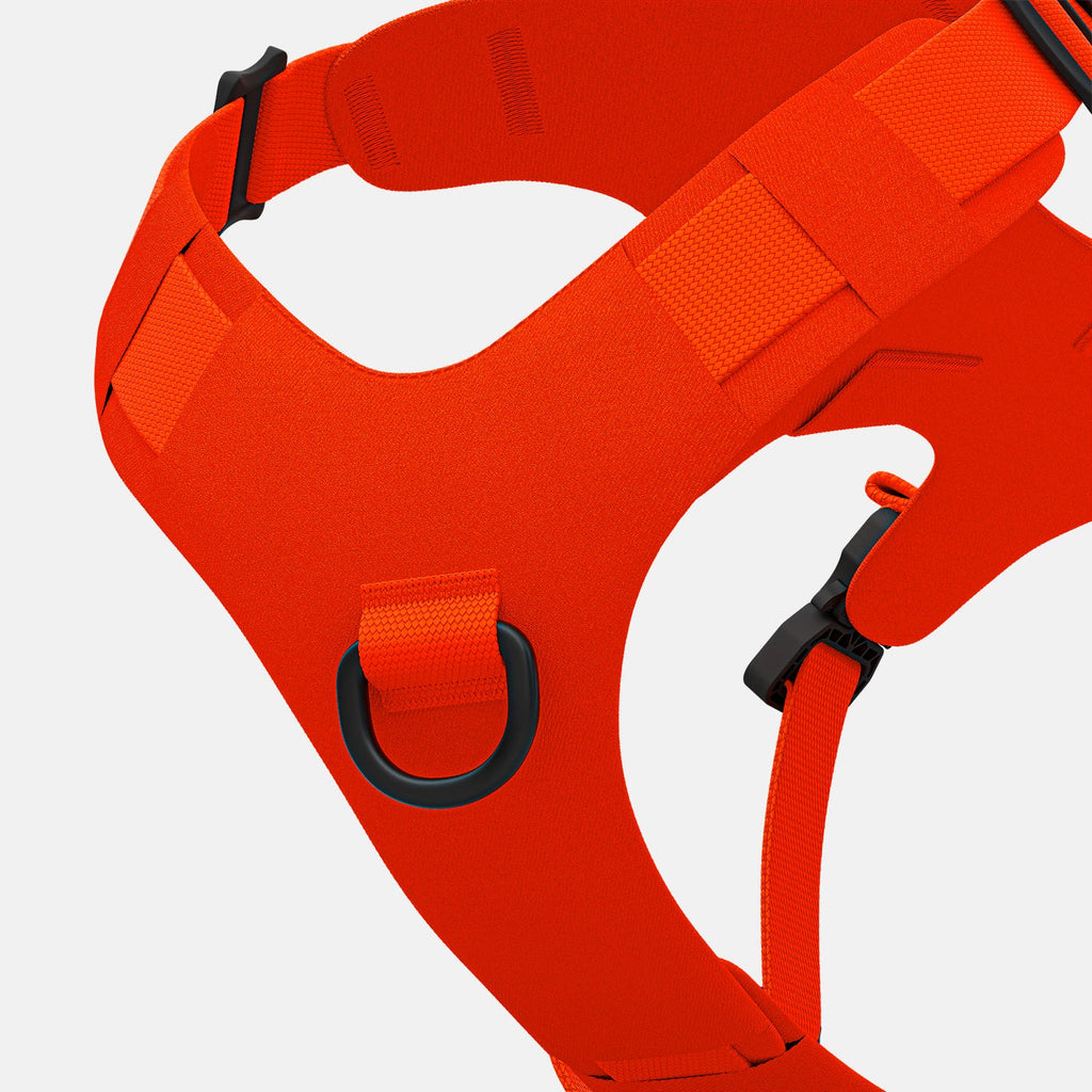 Pet Harness product image 5