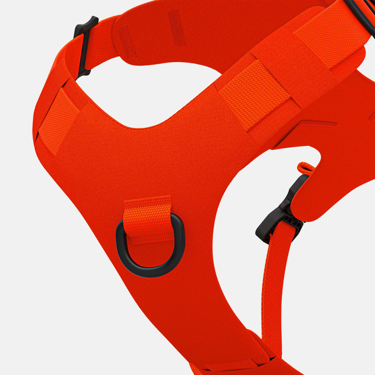 Pet Harness product image 5
