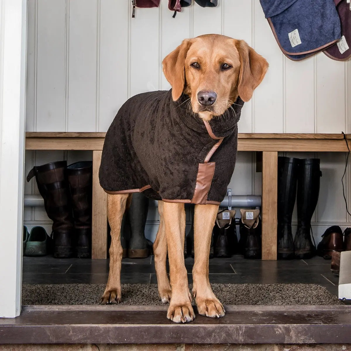 Dog Drying Coat product image 1