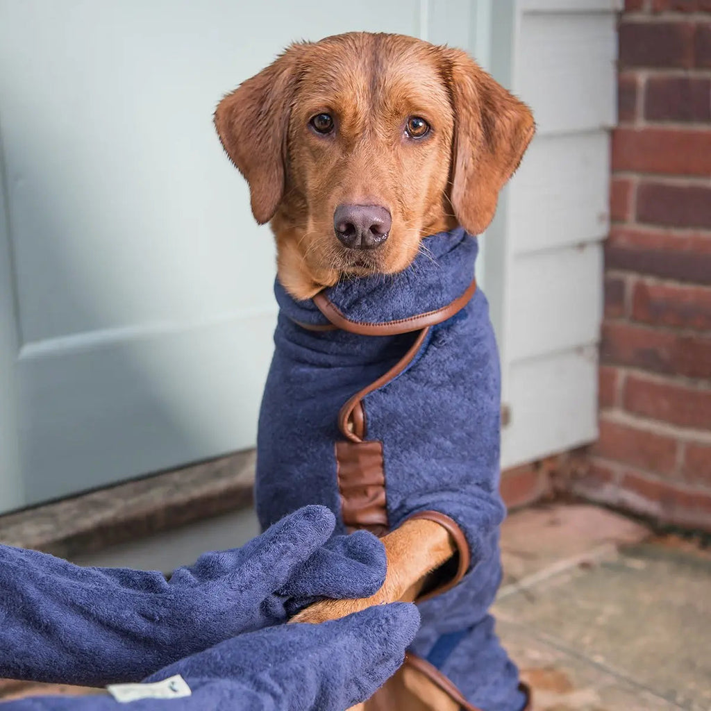 Dog Drying Mitts product image 1