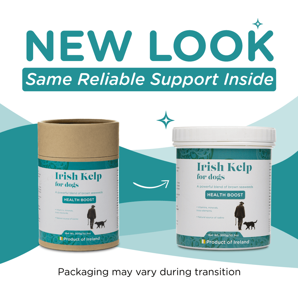 Pet Kelp Supplement product image 2
