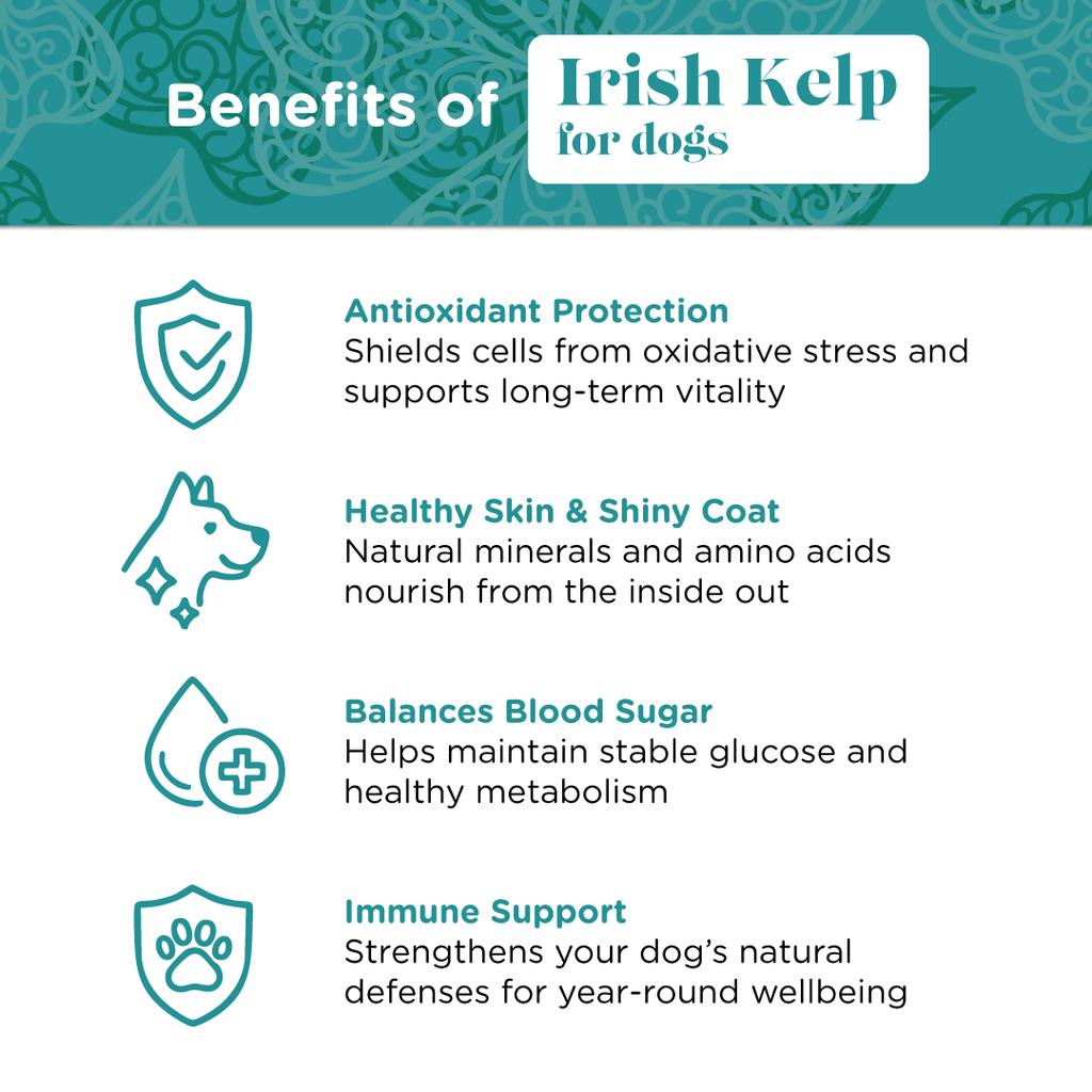 Pet Kelp Supplement product image 3