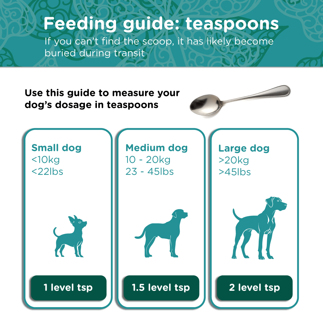 Pet Kelp Supplement product image 5