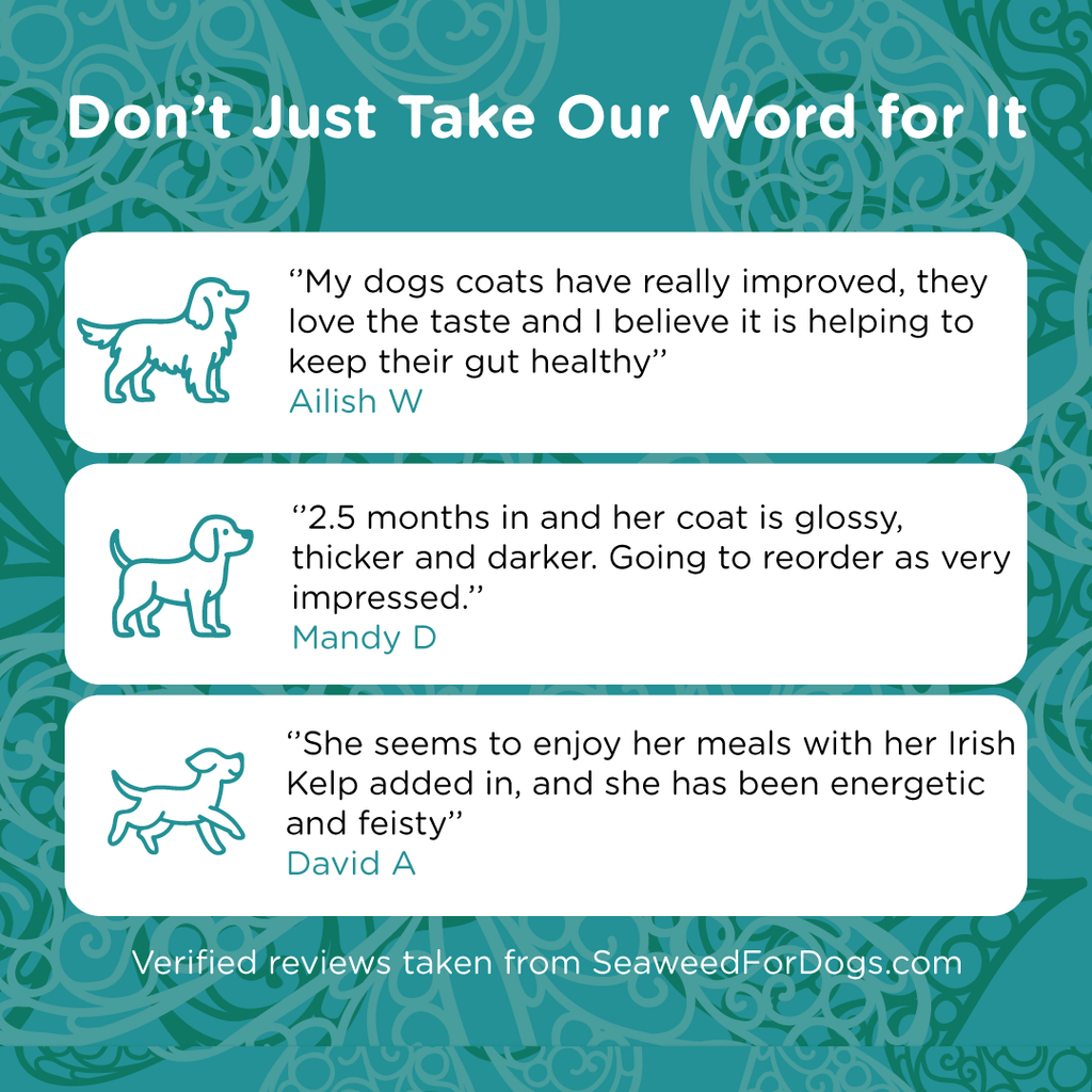 Pet Kelp Supplement product image 7