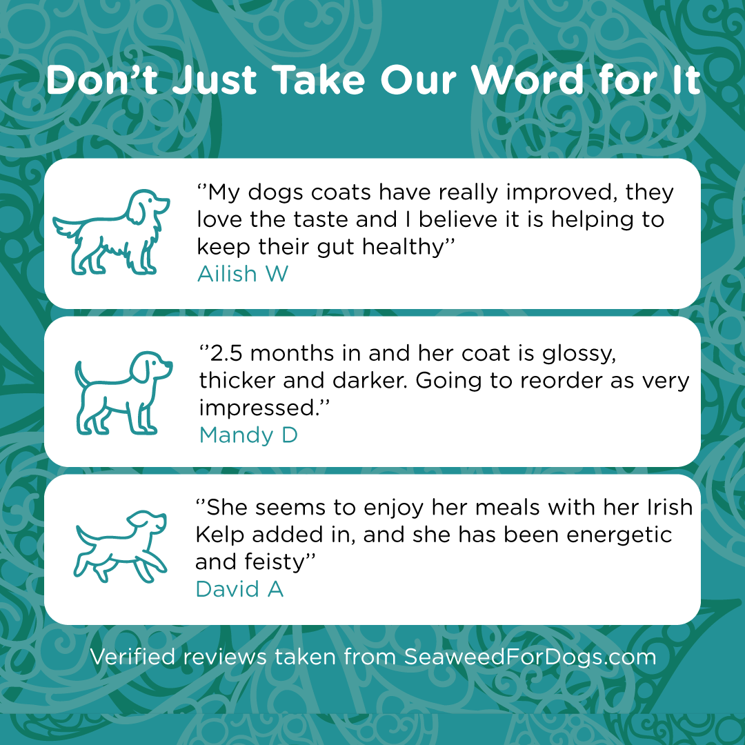 Pet Kelp Supplement product image 7