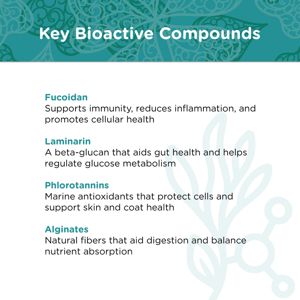 Pet Kelp Supplement product image 9