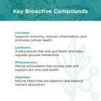 Pet Kelp Supplement product image 9