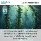 Pet Kelp Supplement product image 14