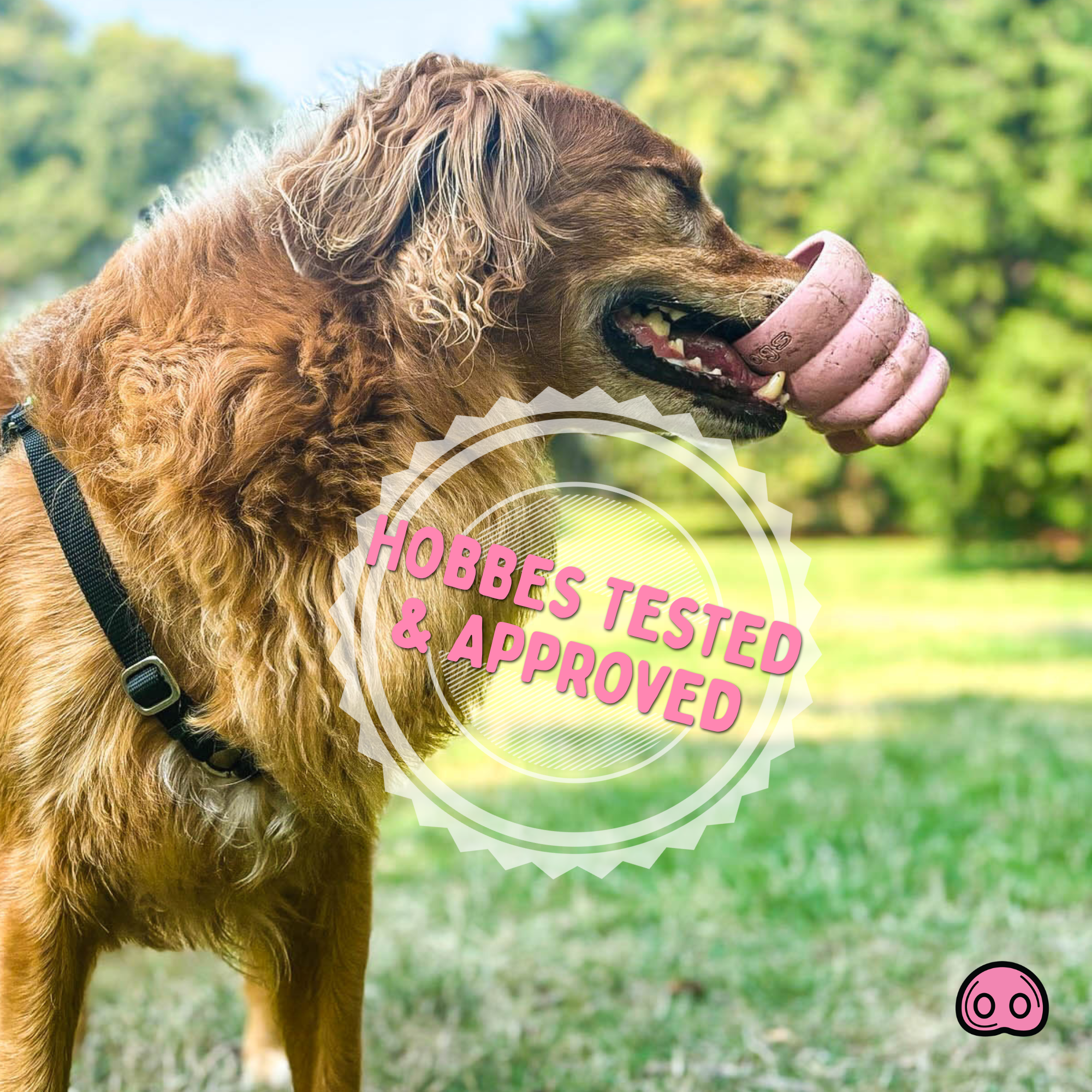 Dog Toys product image 9