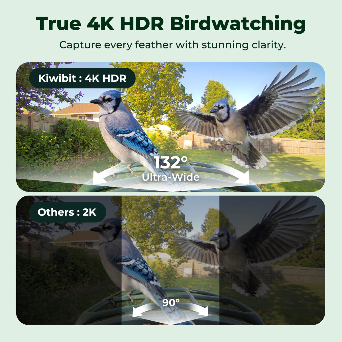 Smart Bird Feeder product image 2