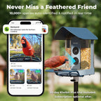 Smart Bird Feeder product image 4