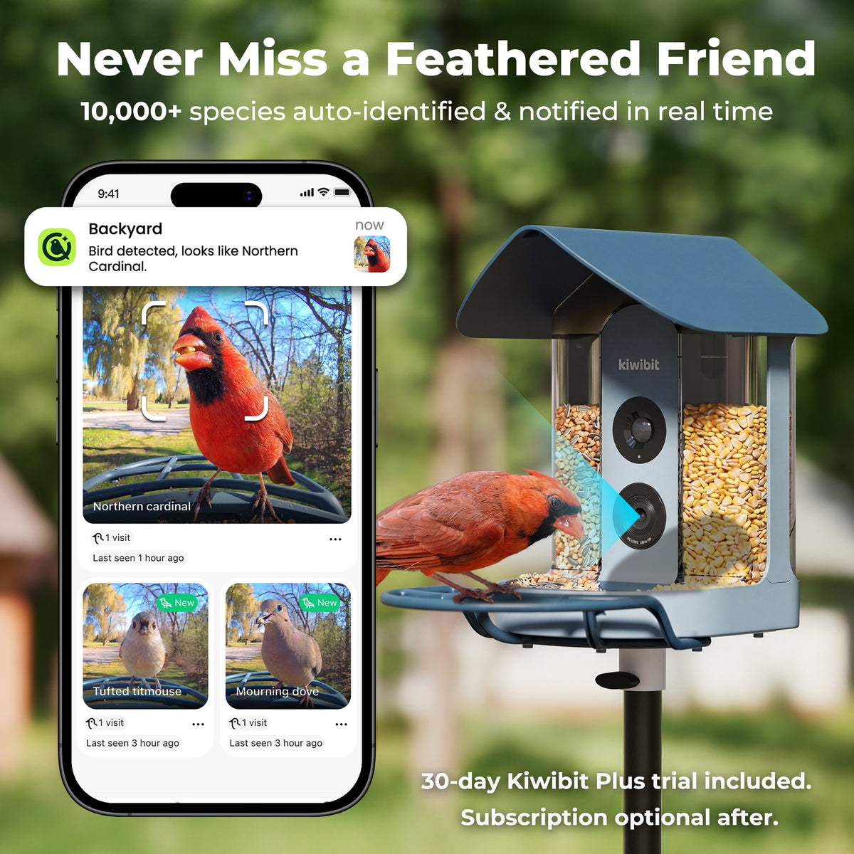 Smart Bird Feeder product image 4