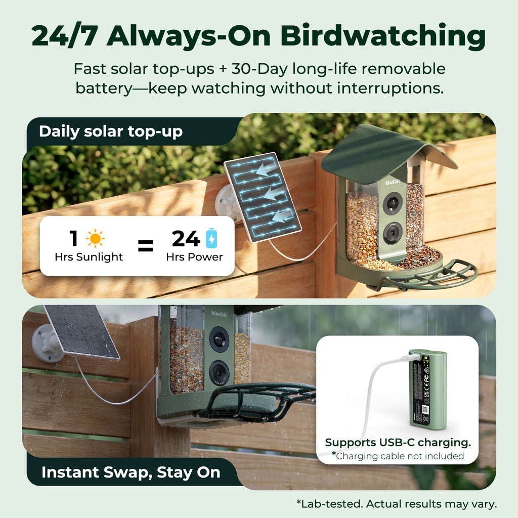 Smart Bird Feeder product image 5