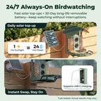 Smart Bird Feeder product image 5