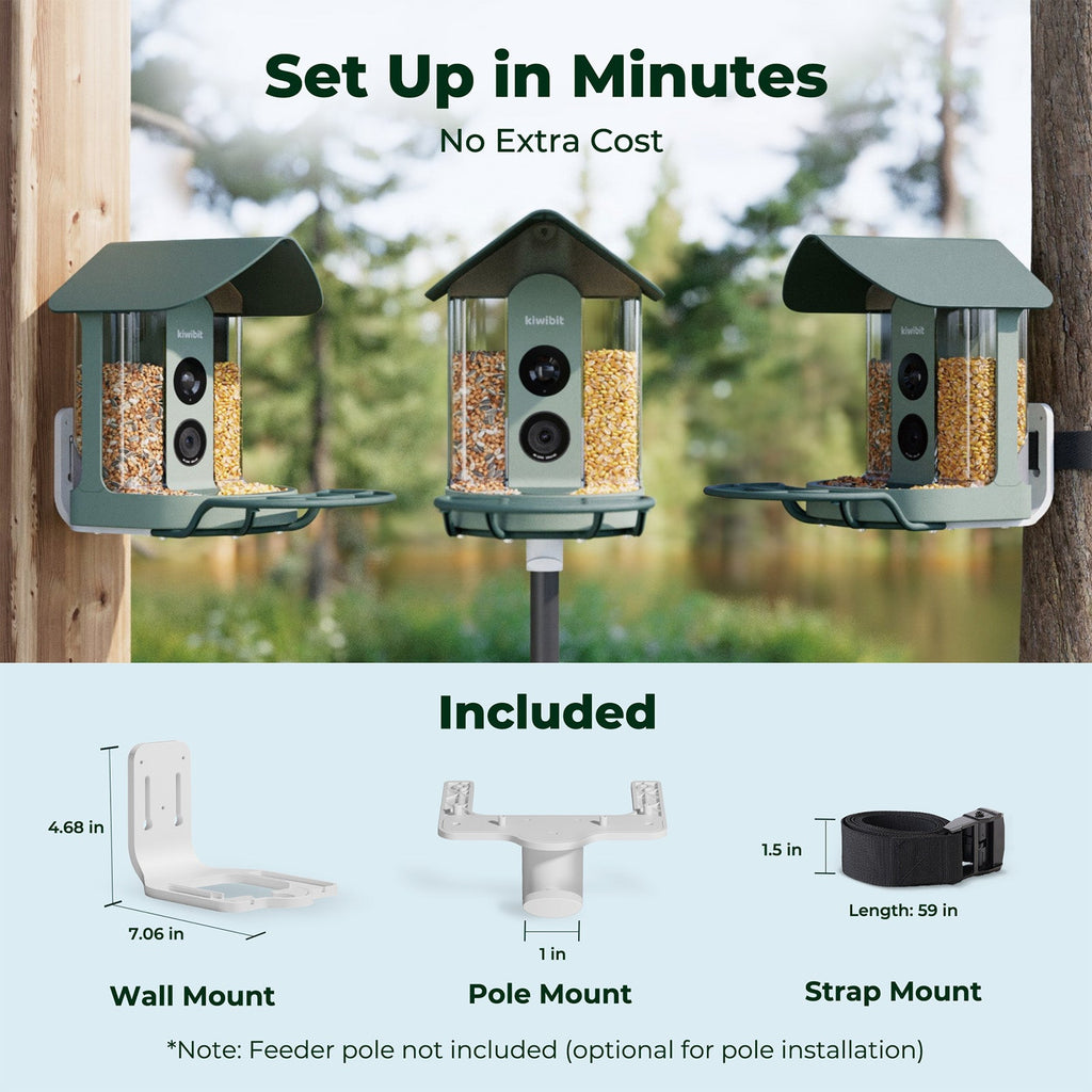 Smart Bird Feeder product image 8