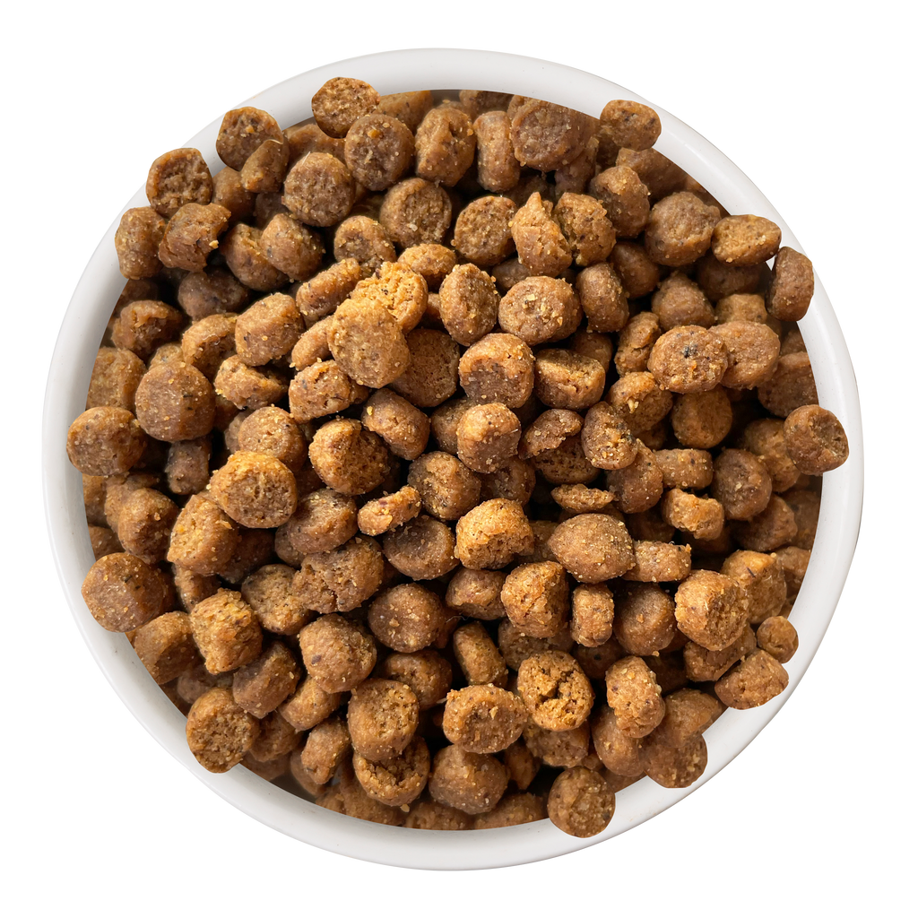 A white bowl filled with round, brown Cat Person Duck & Turkey Dry Food kibble pieces, viewed from above on a white background.