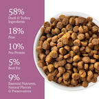A bowl of Cat Person Duck & Turkey Dry Food sits on a white background. Next to it, a purple list highlights key ingredients—duck, turkey, peas, and essential nutrients—in this high-protein, healthy cat food.