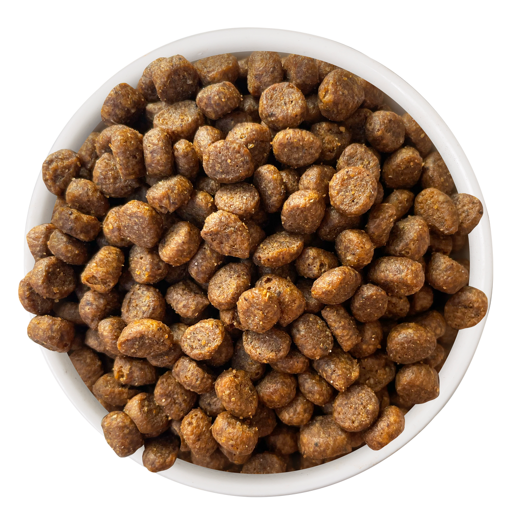 A white bowl filled with round, brown pieces of Cat Person Salmon & Tuna Dry Food kibble, viewed from above on a white background.