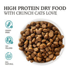 A bowl of Cat Person Salmon & Tuna Dry Food is shown next to icons for grain free, no fillers, and all natural. The main text reads: High Protein Dry Food With Crunch Cats Love.