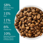 A bowl of Cat Person Salmon & Tuna Dry Food sits beside a teal list: 58% salmon & tuna, 15% peas, 11% pea protein, 6% chicken fat, and 10% nutrients, natural flavors & preservatives for healthy cats.