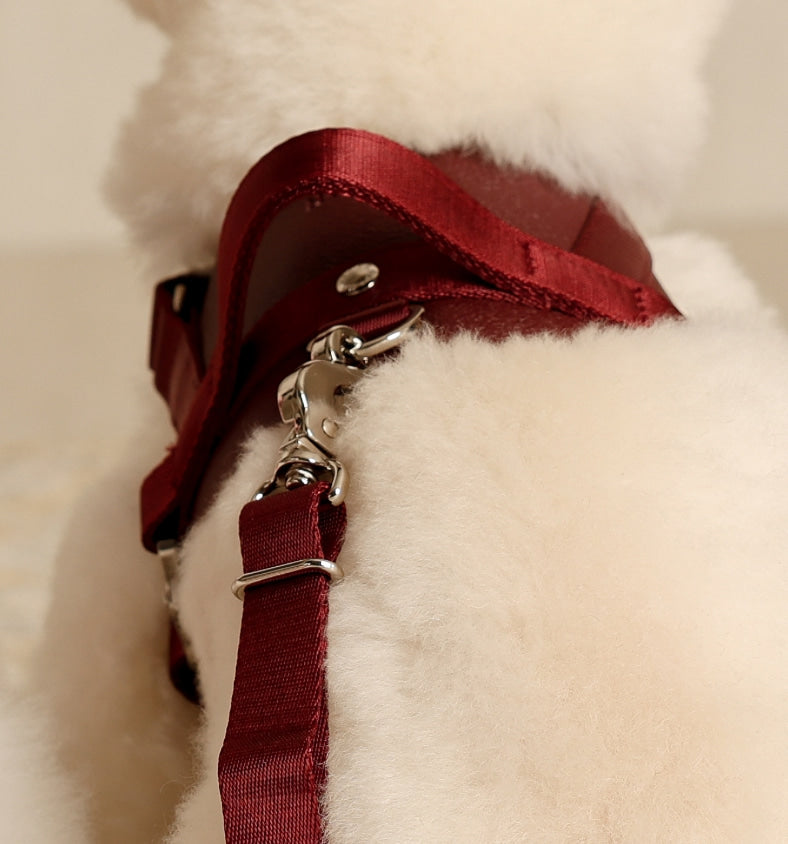 Hands-Free Dog Leash product image 7