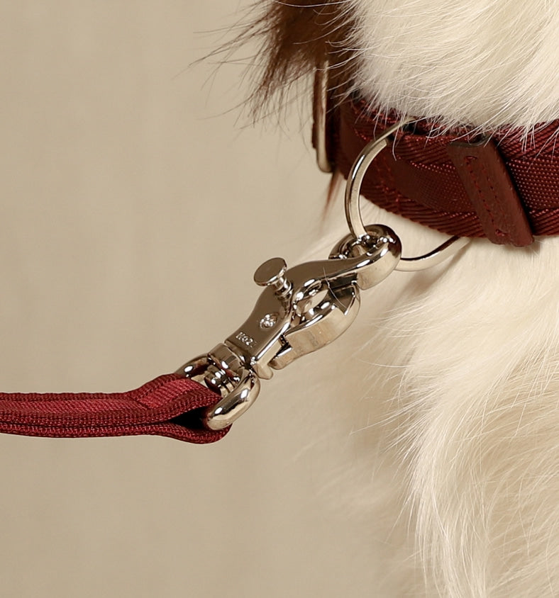 Hands-Free Dog Leash product image 12