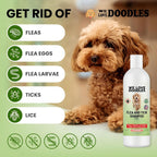 Flea Tick Shampoo product image 3