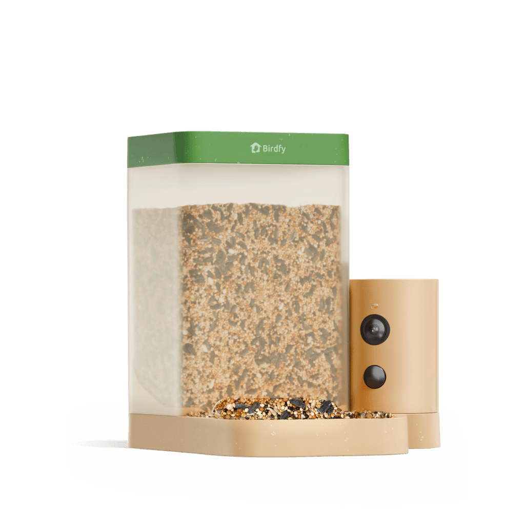 Smart Bird Feeder product image 1