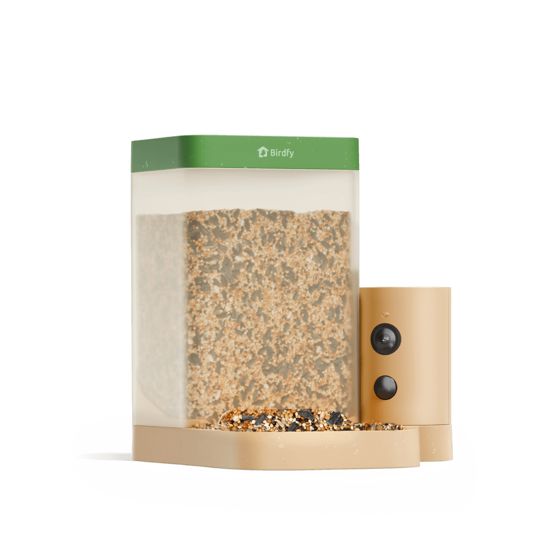 Smart Bird Feeder product image 1