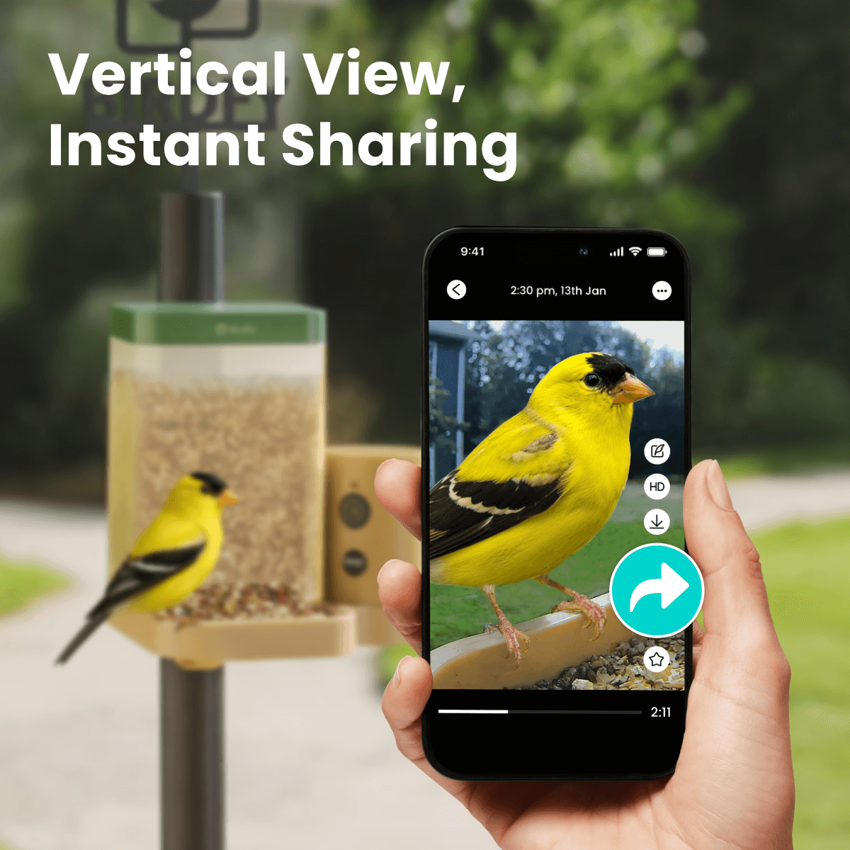 Smart Bird Feeder product image 2