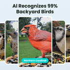 Smart Bird Feeder product image 3