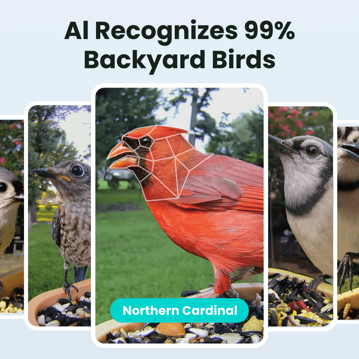 Smart Bird Feeder product image 3