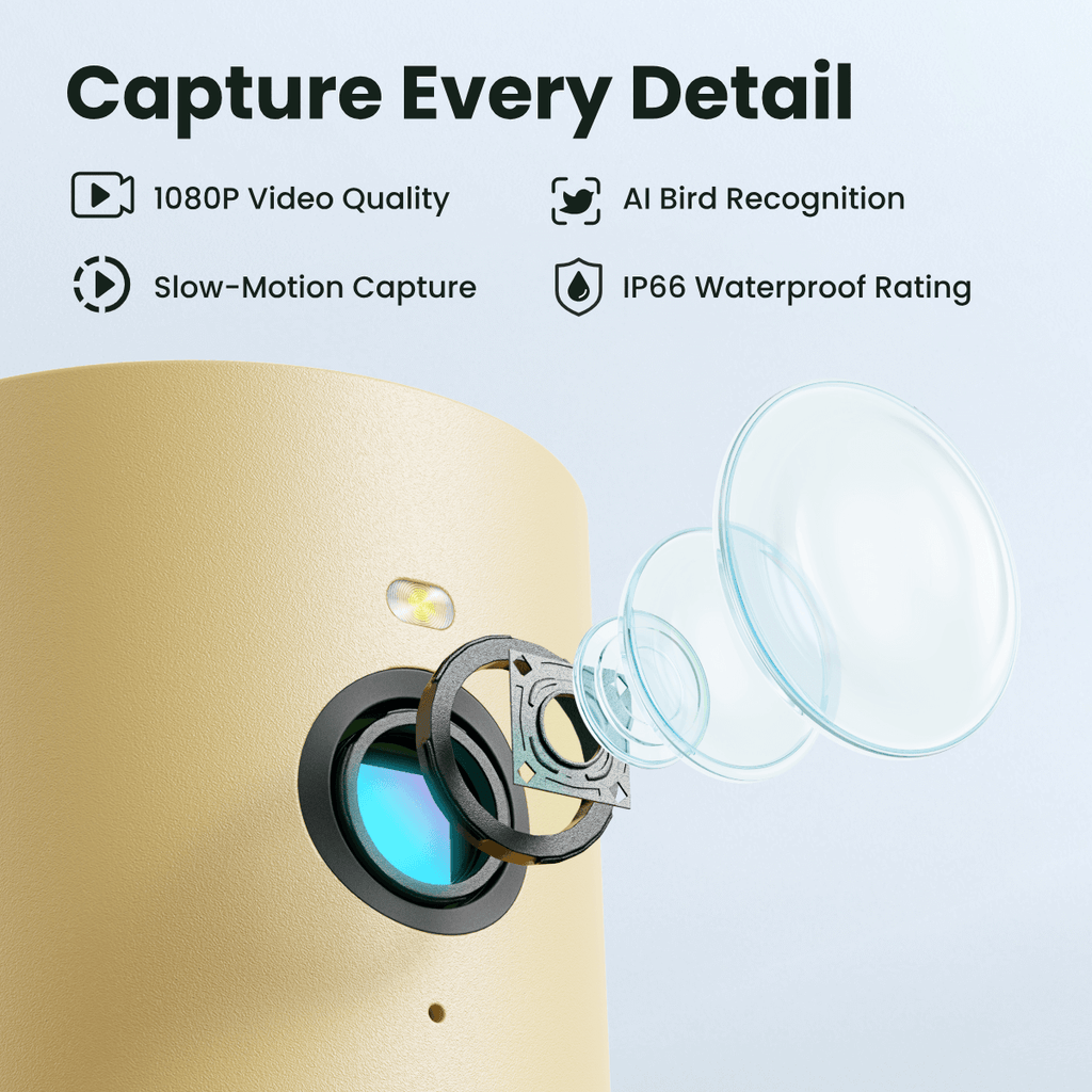 Smart Bird Feeder product image 4