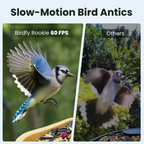 Smart Bird Feeder product image 6