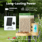 Smart Bird Feeder product image 7