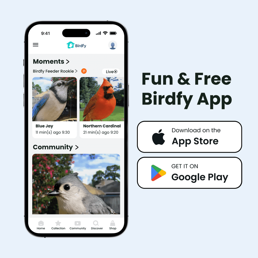 Smart Bird Feeder product image 10