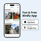 Smart Bird Feeder product image 10