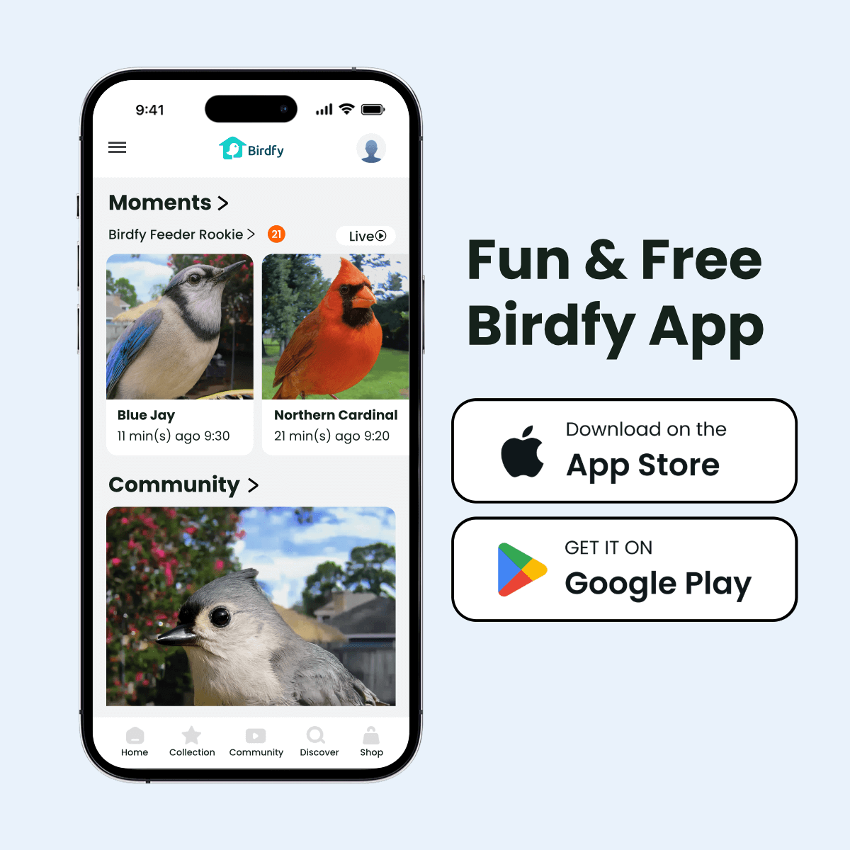 Smart Bird Feeder product image 10
