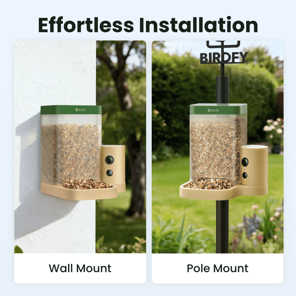 Smart Bird Feeder product image 11