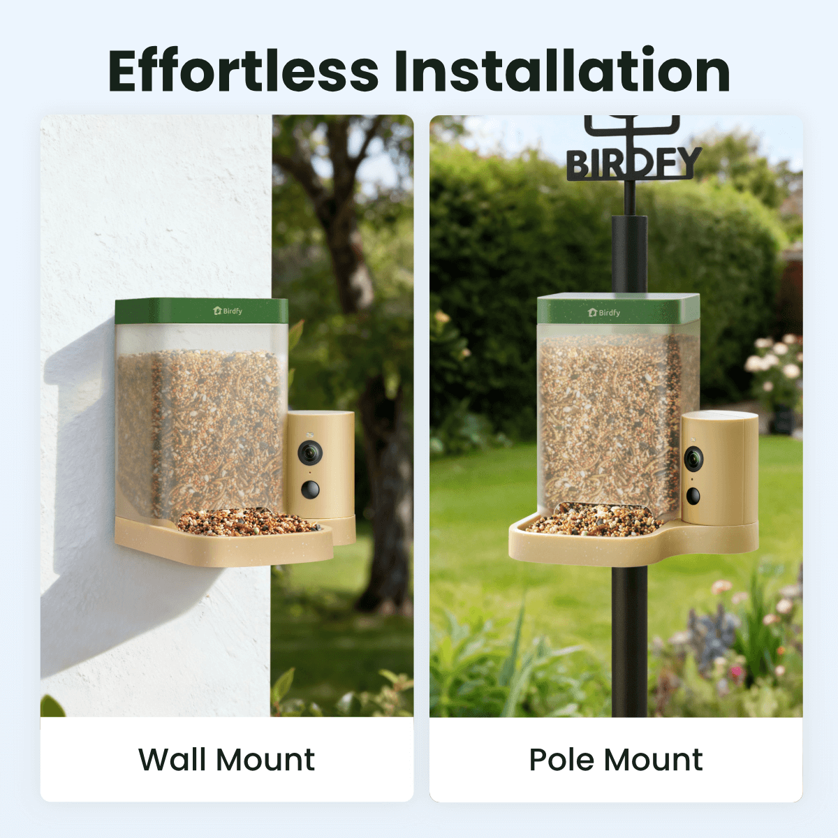 Smart Bird Feeder product image 11